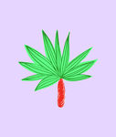 树