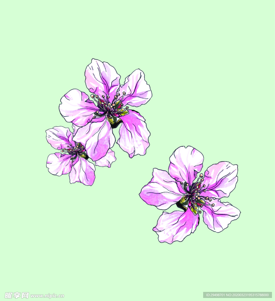 花朵