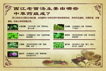 中医 古典海报