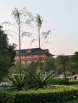 南方医科大学