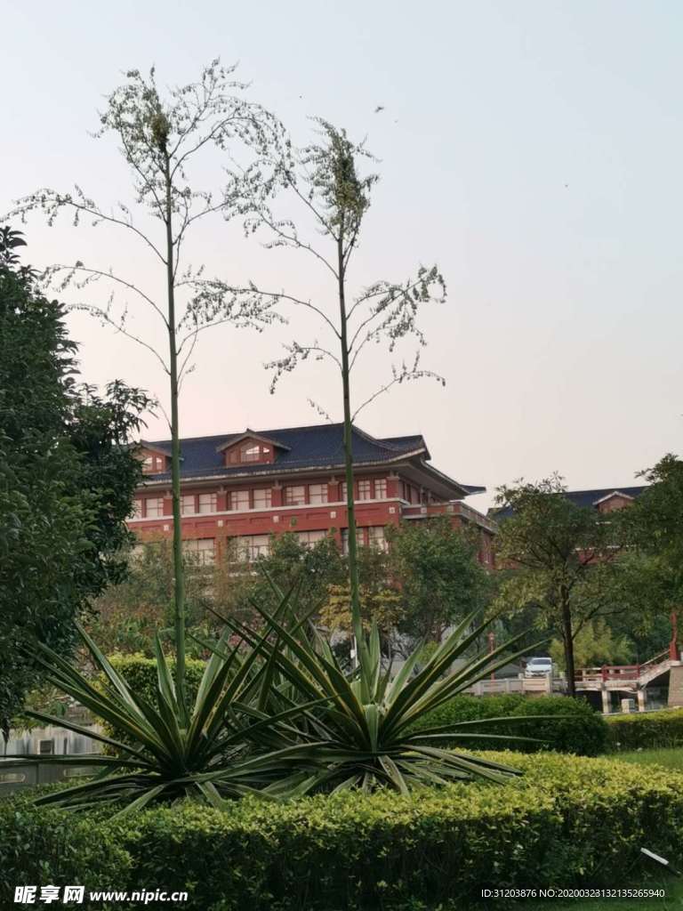 南方医科大学