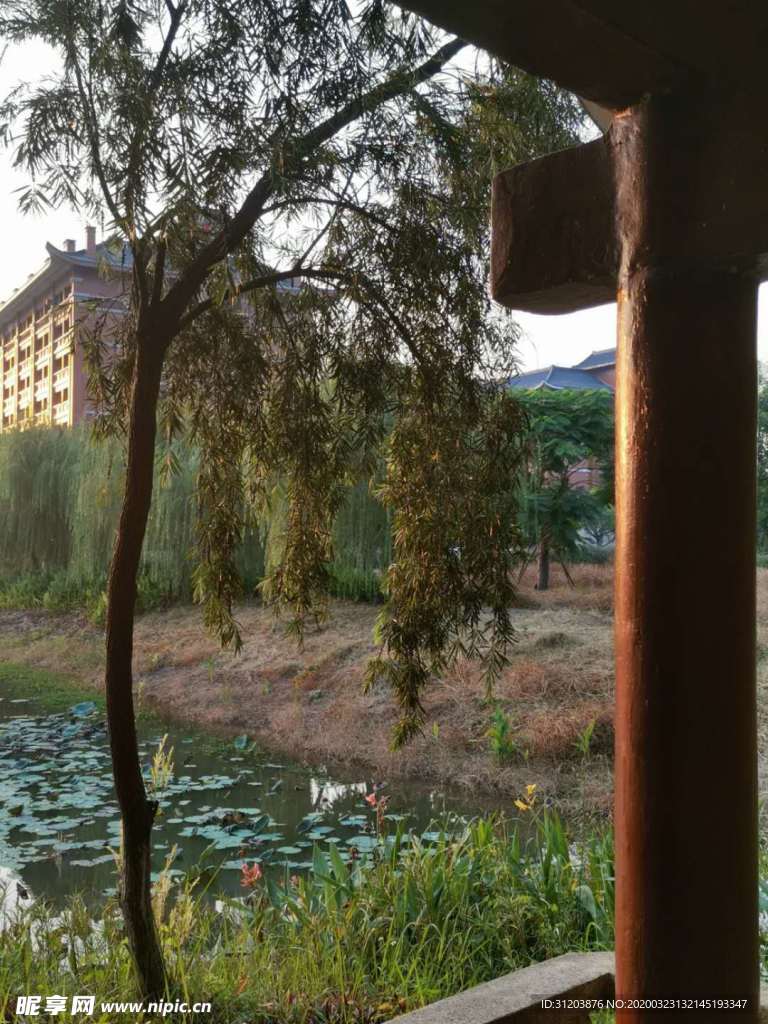 南方医科大学湿地