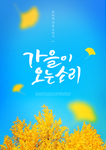 枫叶海报
