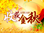 金秋吊旗 秋天海报 收获金秋