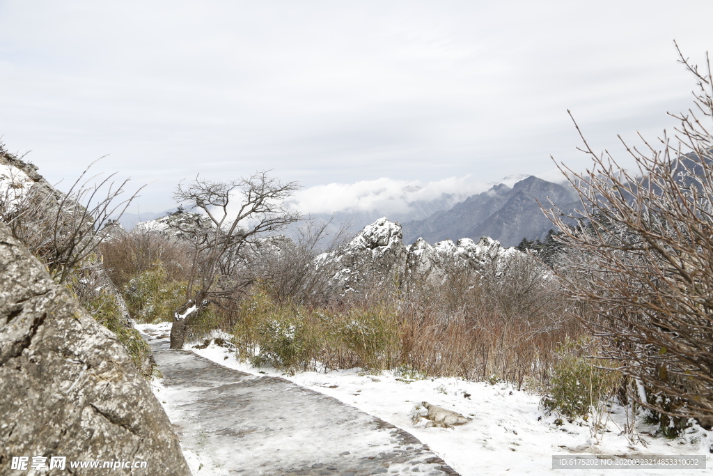 高山残雪