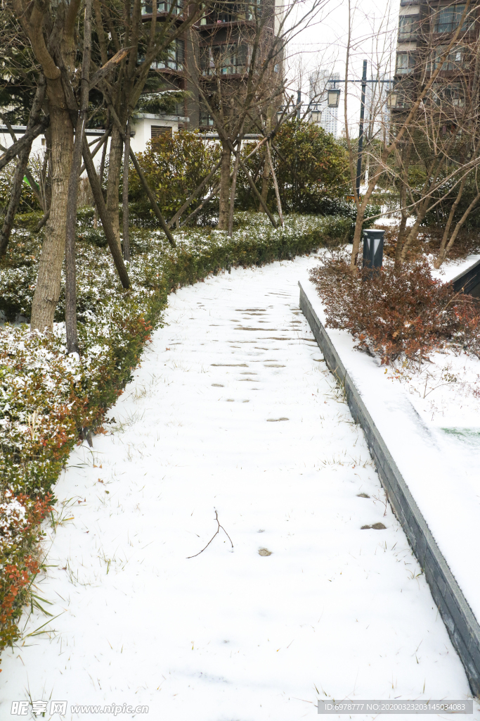 雪景