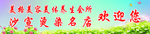 沙宣烫染名店