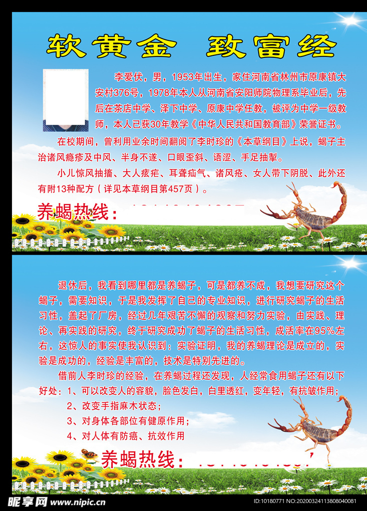 养蝎彩页