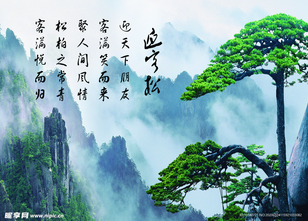 迎客松