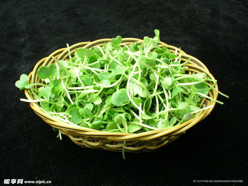 家常菜美食