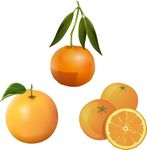 橘子橙子