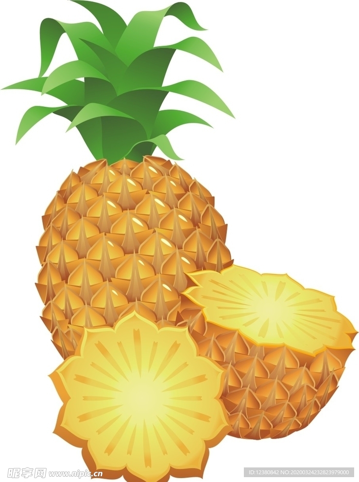 菠萝凤梨