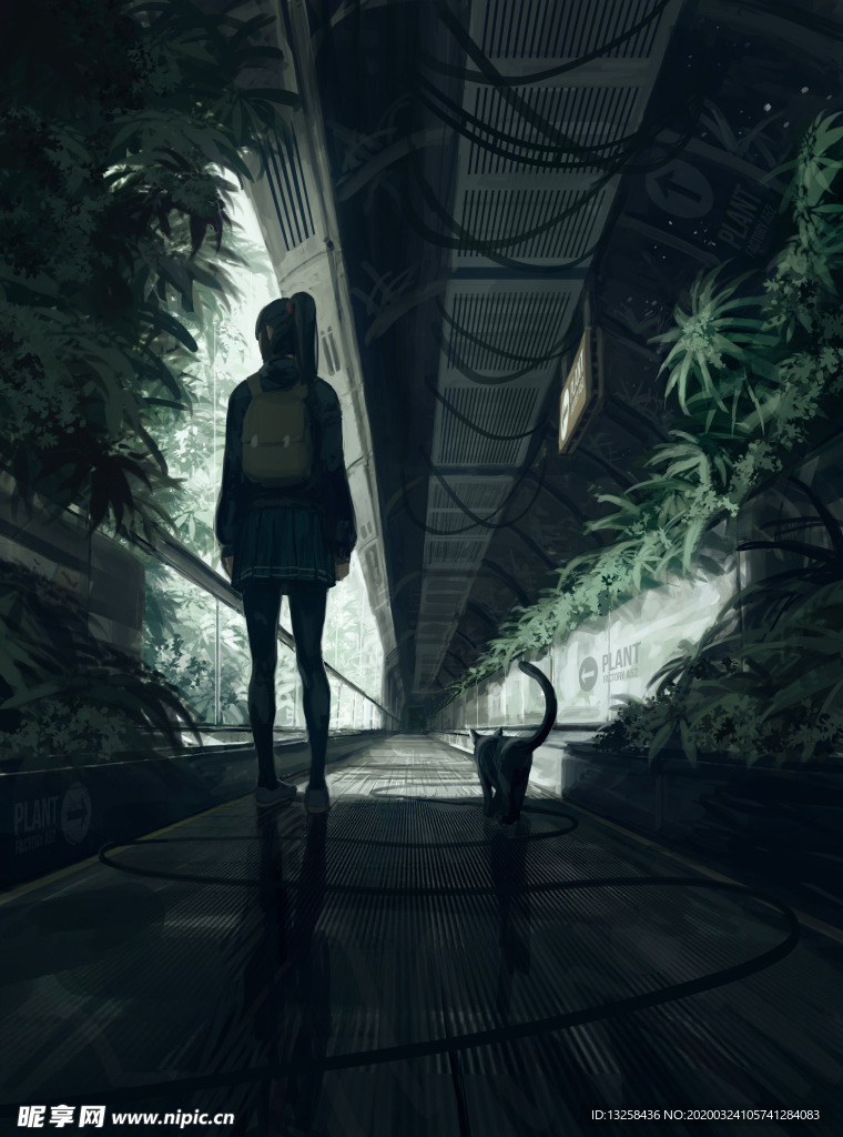 彩色卡通动漫人物插画
