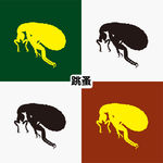 跳蚤