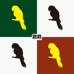 鹦鹉
