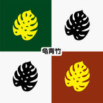 龟背竹