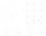 花瓣图案