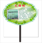 火炬松园林牌子