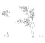 线描竹子