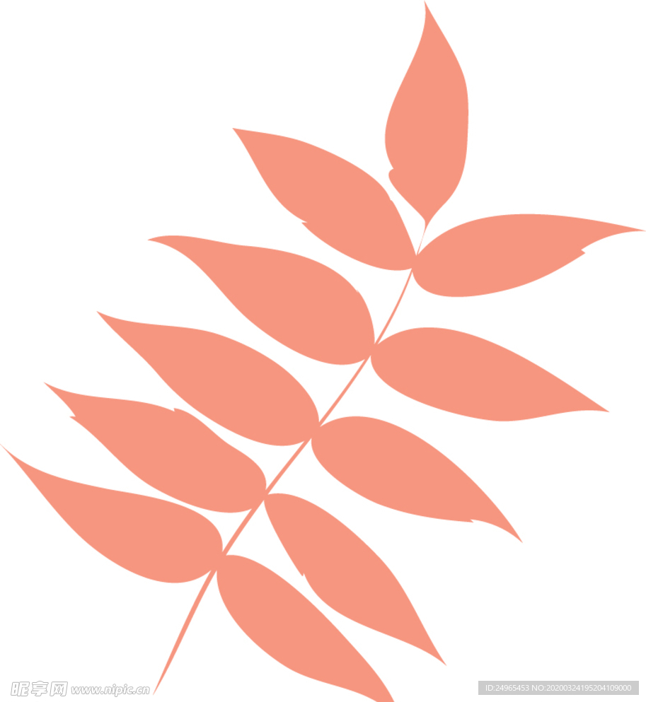 矢量树叶插图