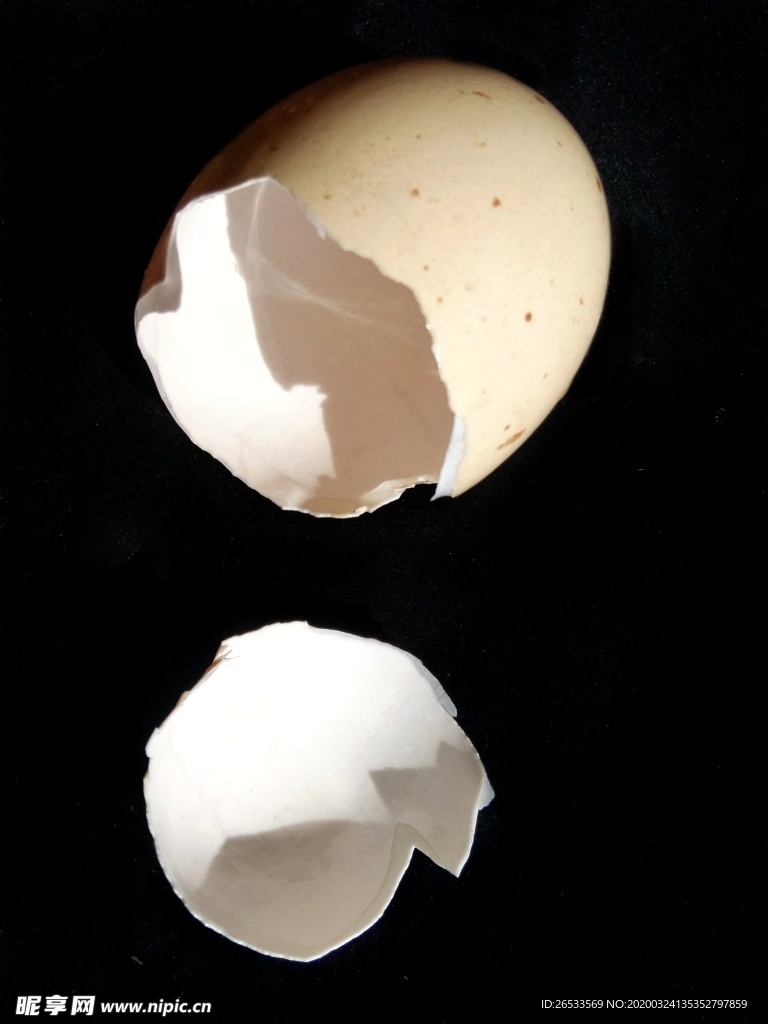 鸡蛋壳 打碎 碎壳 白色 黑底