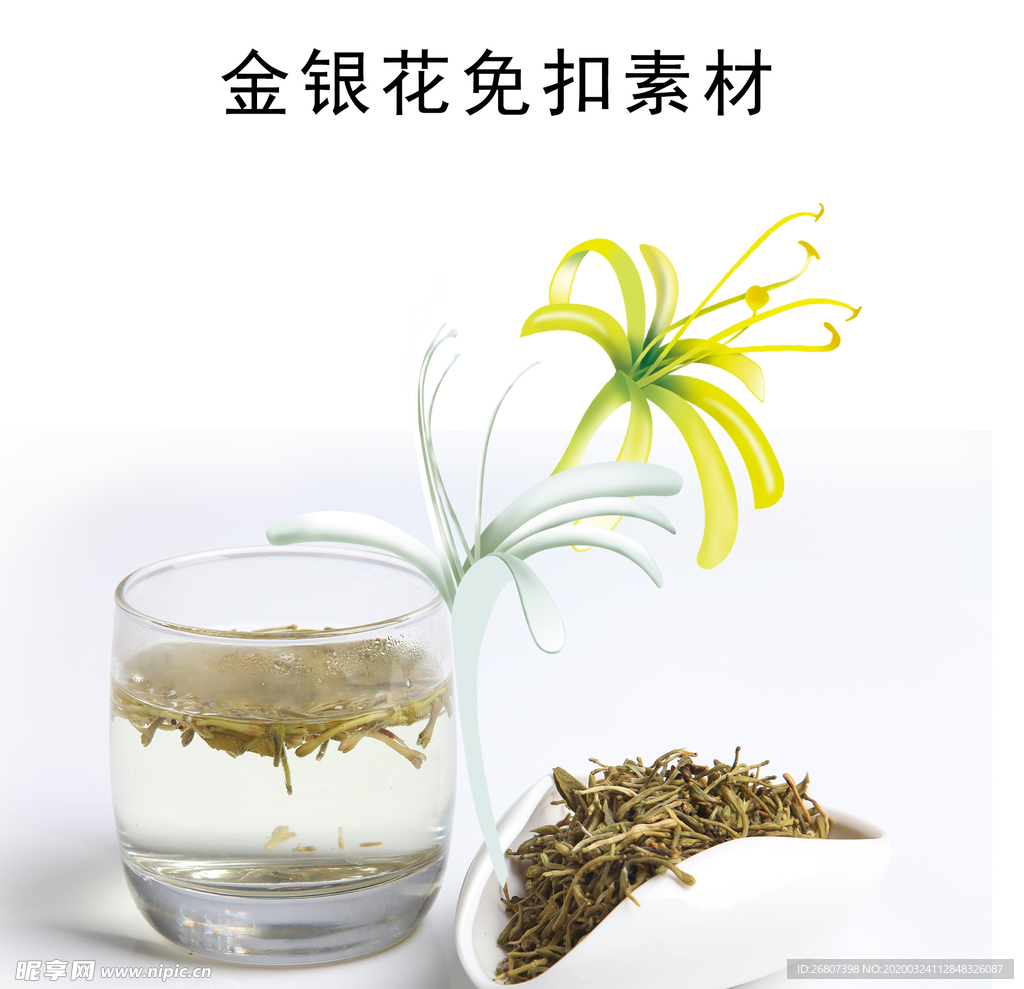 金银花素材免扣