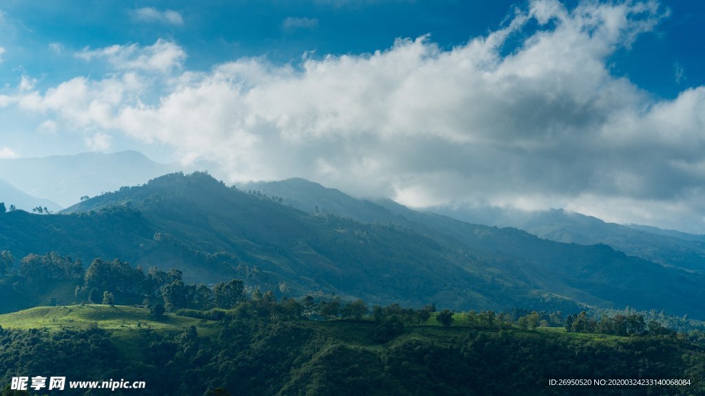 风景