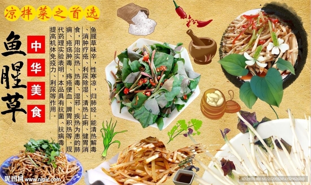 鱼腥草背景墙PSD模板下载