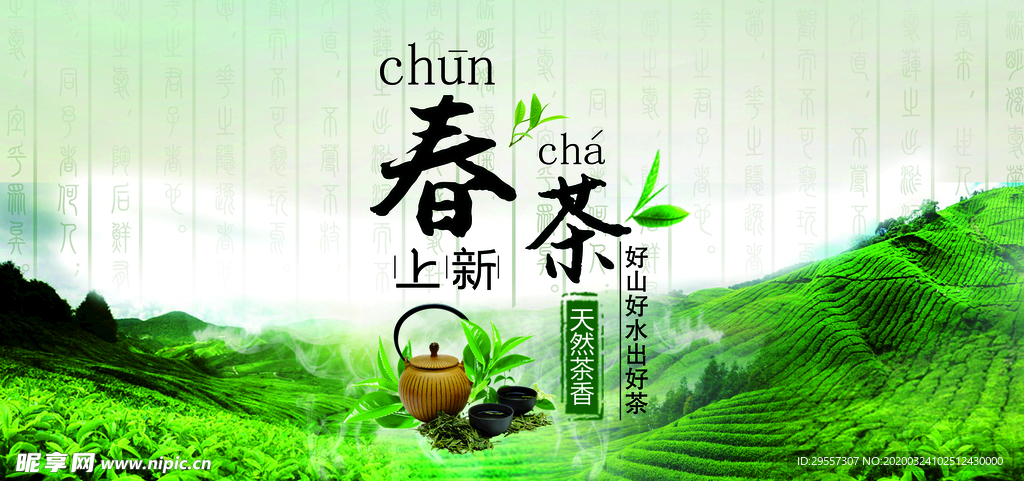 春茶