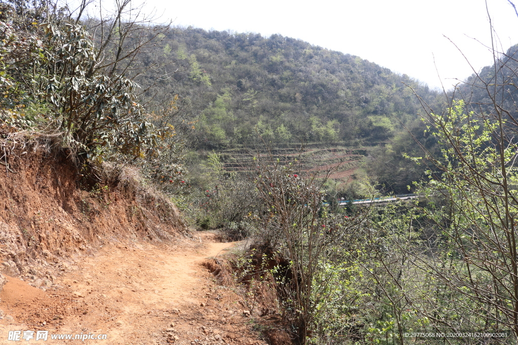 山上的小路