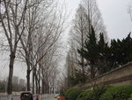 街道