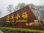 花市