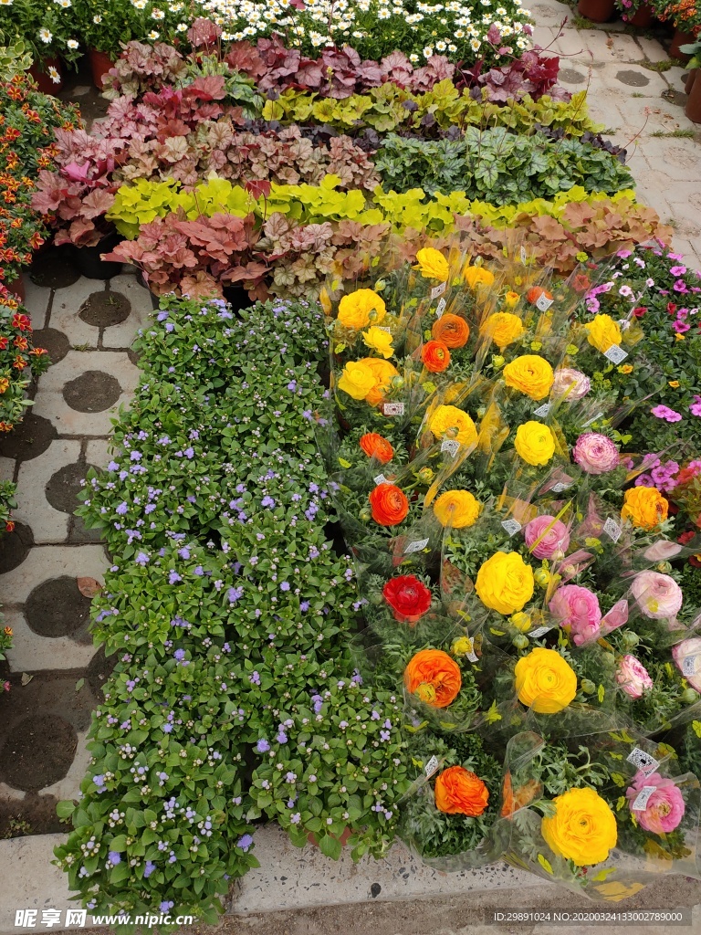鲜花