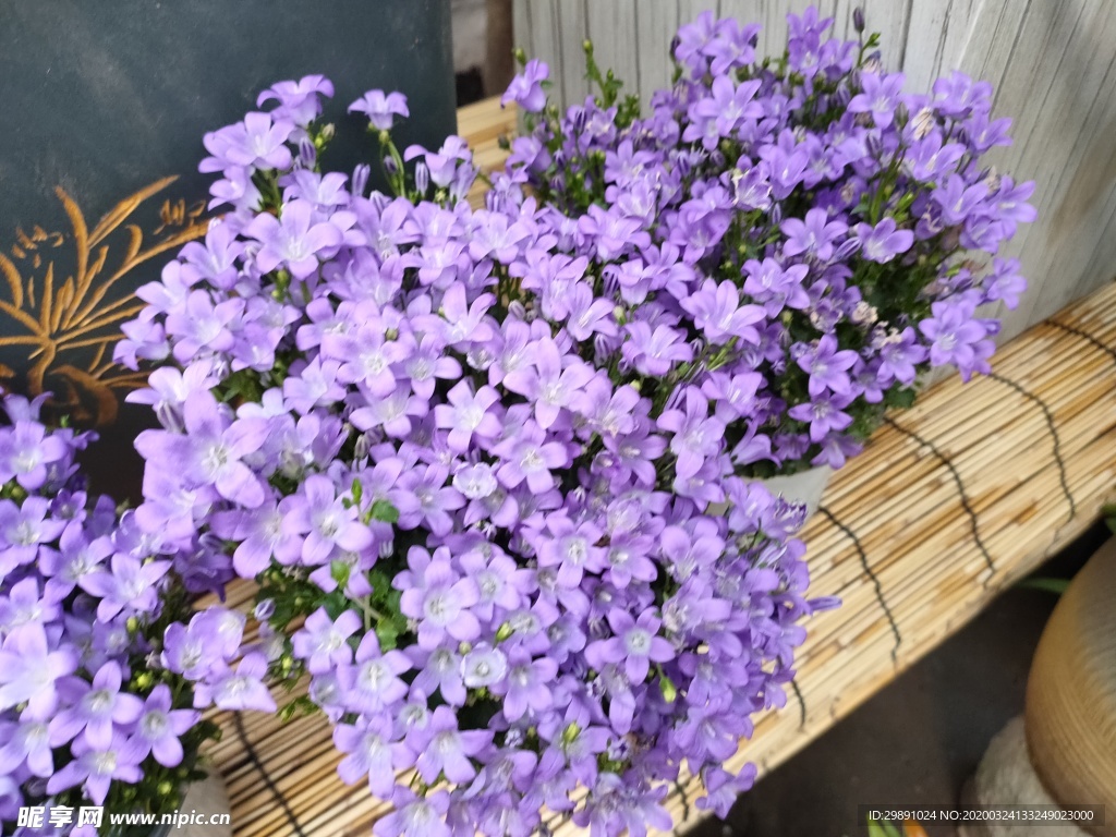 鲜花