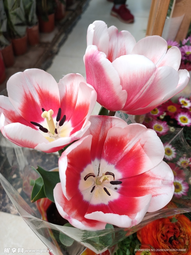 鲜花