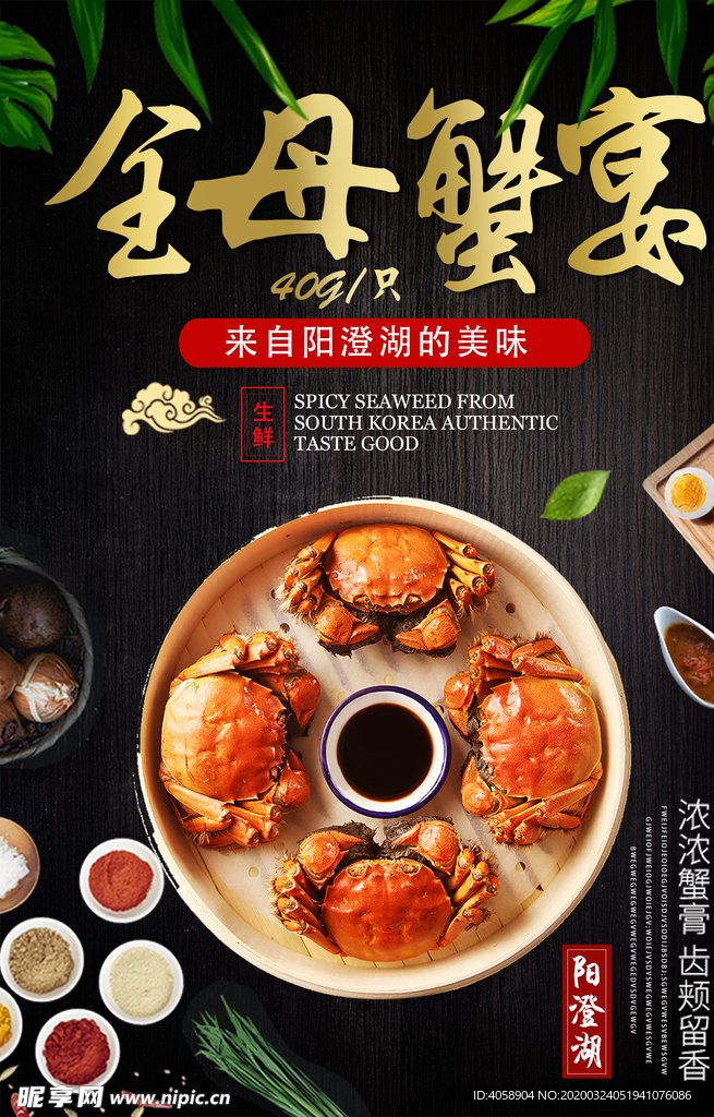 母蟹