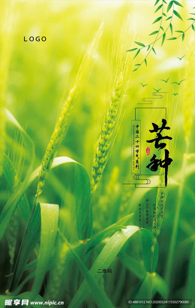 节气海报