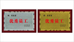 木托奖牌图片