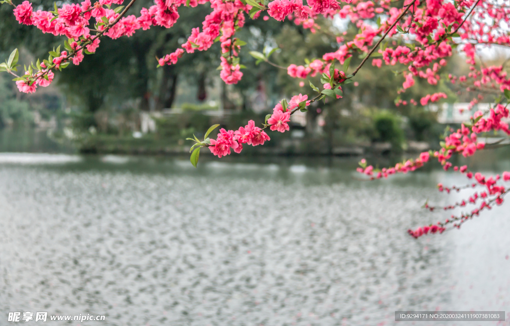 春季