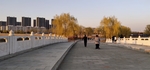 春游蒲湖公园