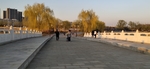 春游蒲湖公园