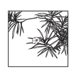 黄夹竹桃