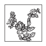 茉莉花