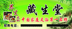 藏生堂广告