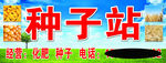 建周种子站