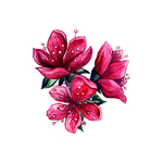 杜鹃花