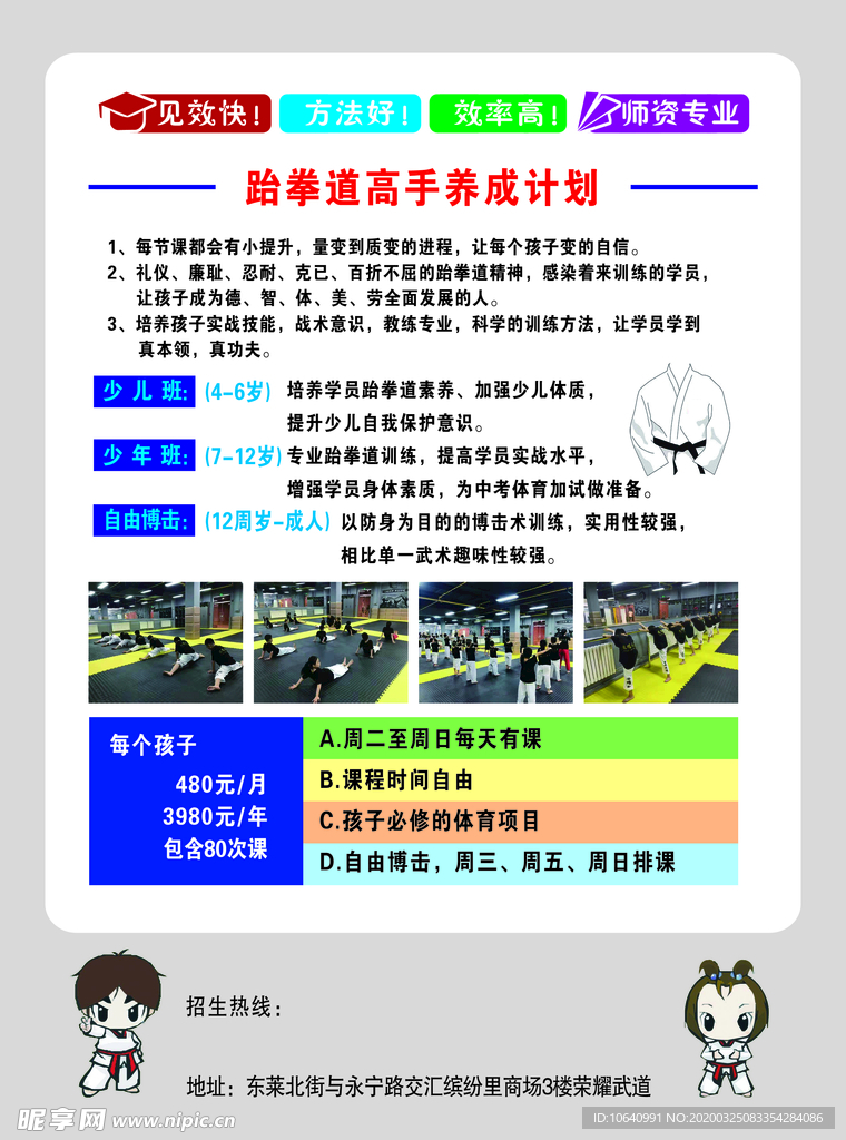武道彩页