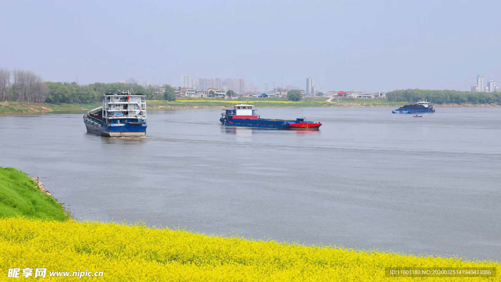 河边油菜花基地