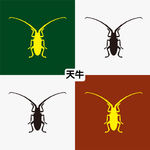 天牛