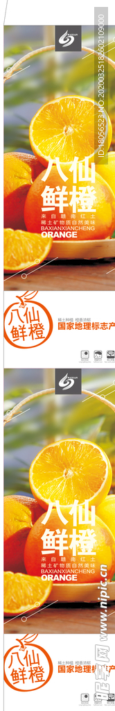 脐橙卡纸设计